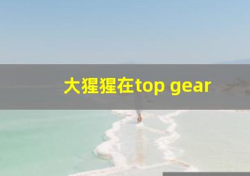 大猩猩在top gear